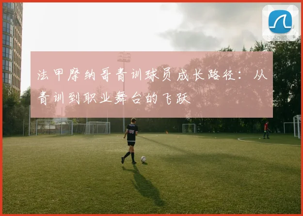 法甲摩纳哥青训球员成长路径：从青训到职业舞台的飞跃