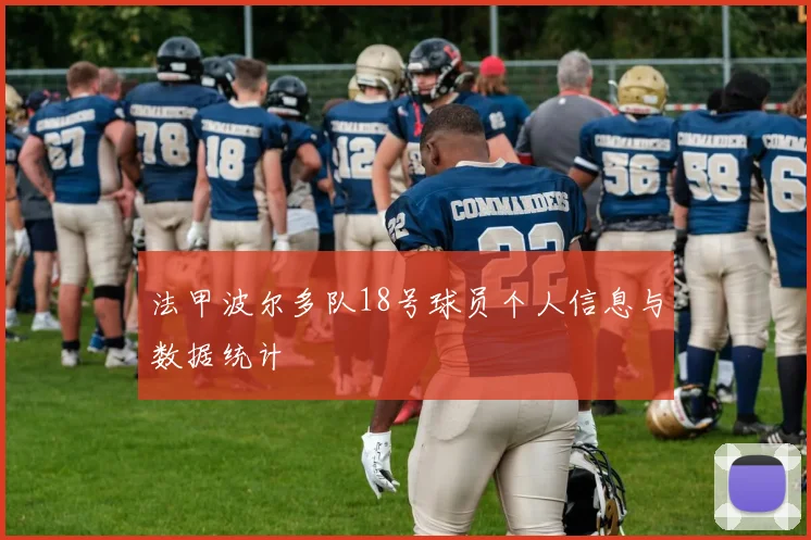 法甲波尔多队18号球员个人信息与数据统计