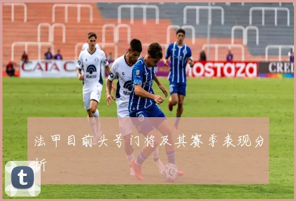 法甲目前头号门将及其赛季表现分析