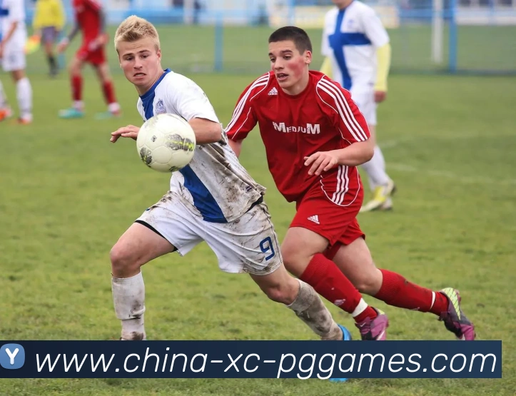 PG模拟器品牌故事