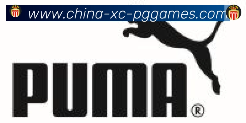 PG模拟器官方网站合作伙伴