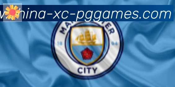 PG模拟器官方网站合作伙伴